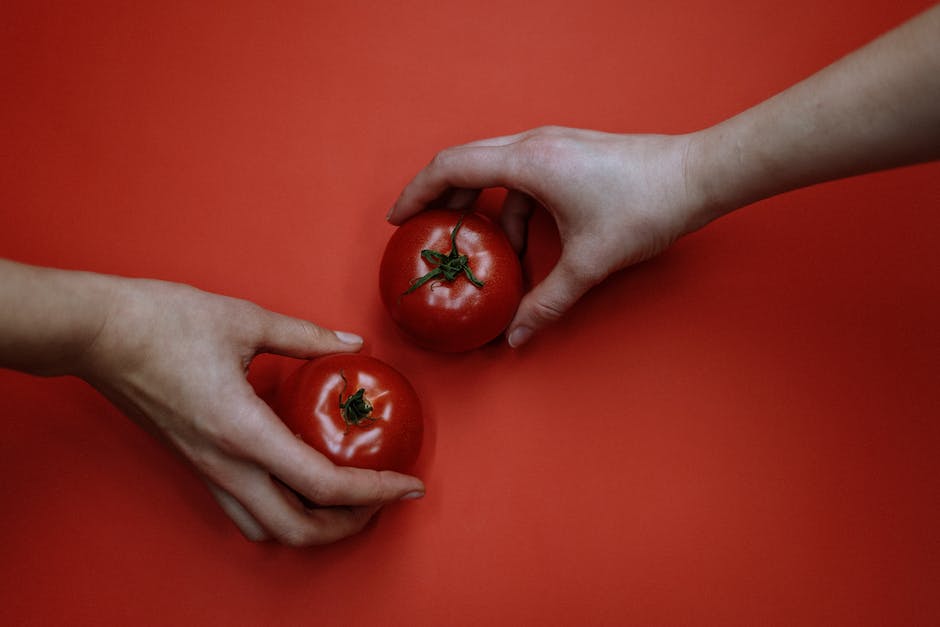 Tomaten Früchte reifen wann?