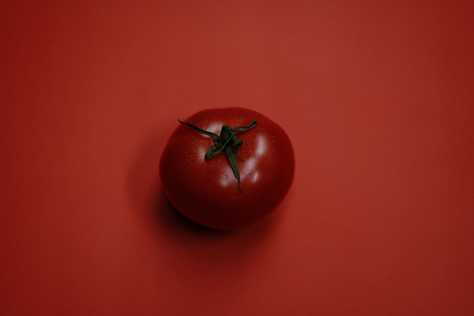 Tomate Deutschland Einführungsdatum