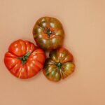 Anleitung zum Erkennen, wann Tomaten reif zum Pflücken sind