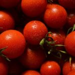 Tomaten Rotwerden