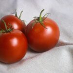 Tomaten im Garten reifenzeit