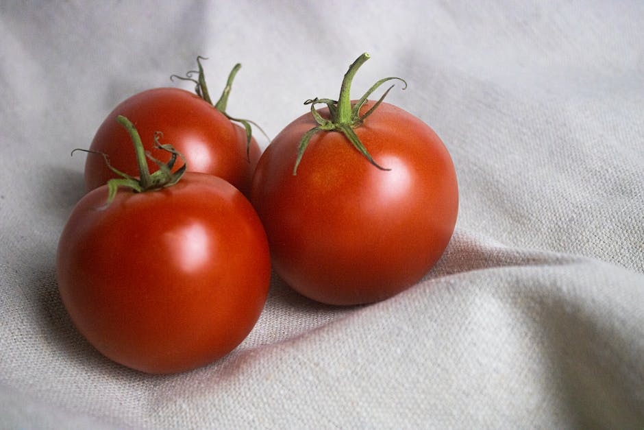 Tomaten im Garten reifenzeit