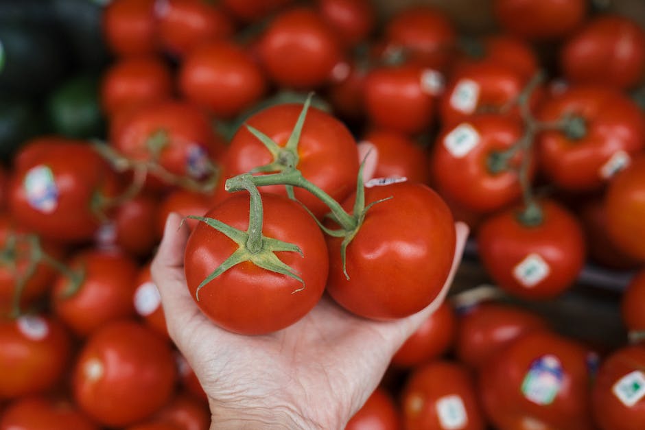  Tomaten reifen, wann es Zeit ist