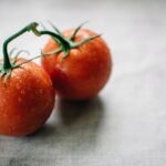 Alt-Attribut für "Warum keine Tomaten vor Darmspiegelung essen?"
