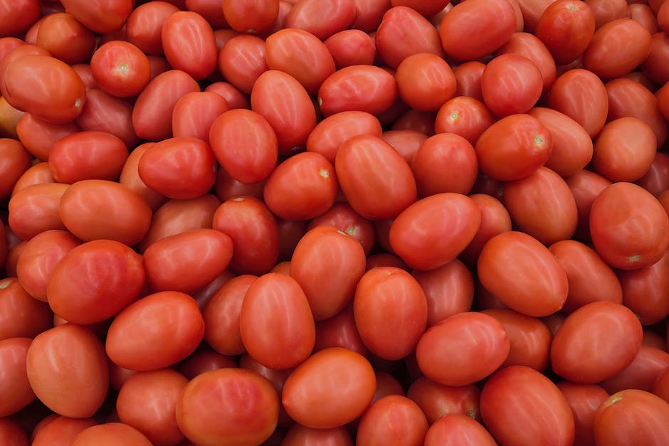  Warum Tomaten nicht rot werden - pflanzliche Pigmente und Nährstoffe im Einsatz
