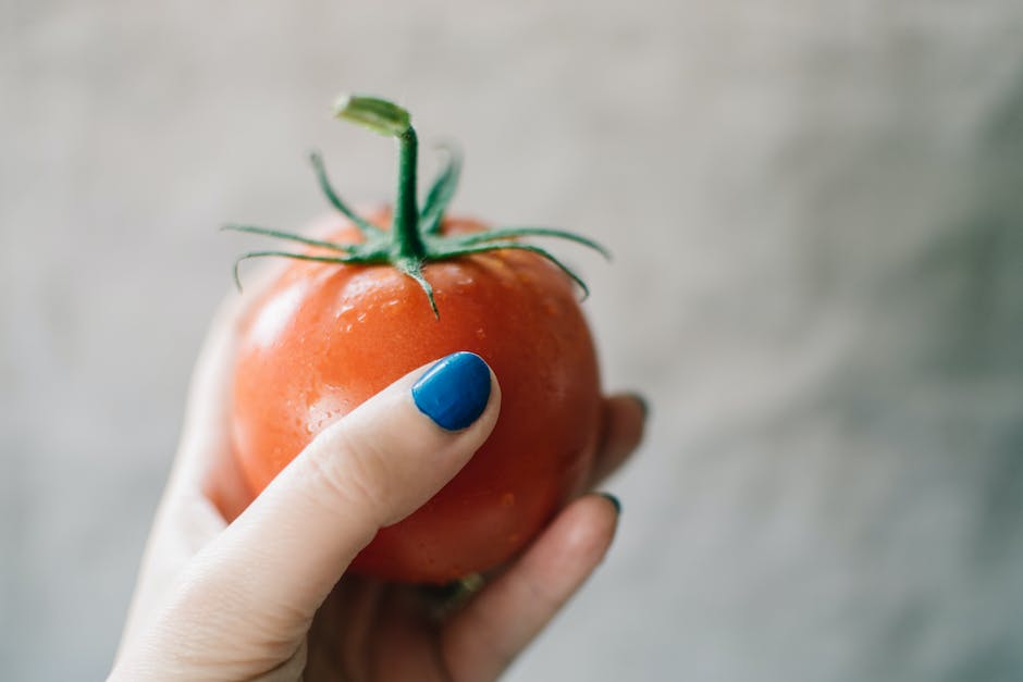 Tomaten rot werden lassen – Ursachen und Tipps