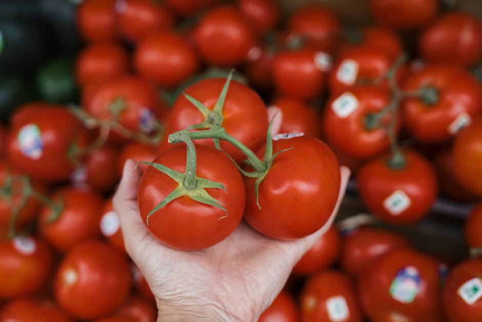 Warum werden unsere Tomaten nicht rot? -- Erfahren Sie, woran es liegen kann.