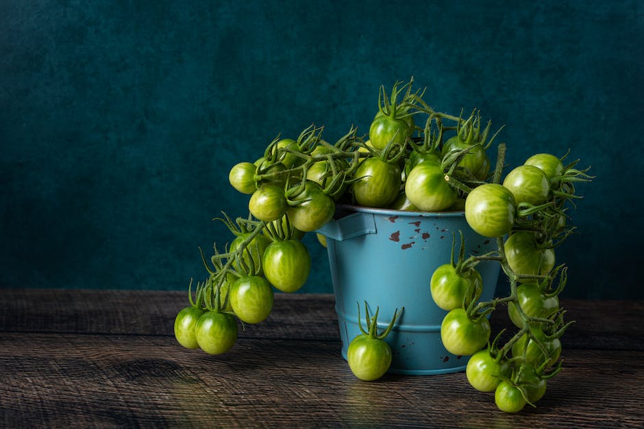 grüne Tomaten Frucht Gemüse saisonal
