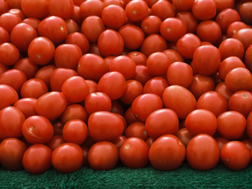  wie man grüne Tomaten zu roten Tomaten macht