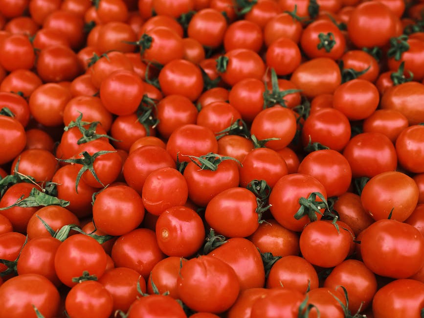  Tomaten rot bekommen