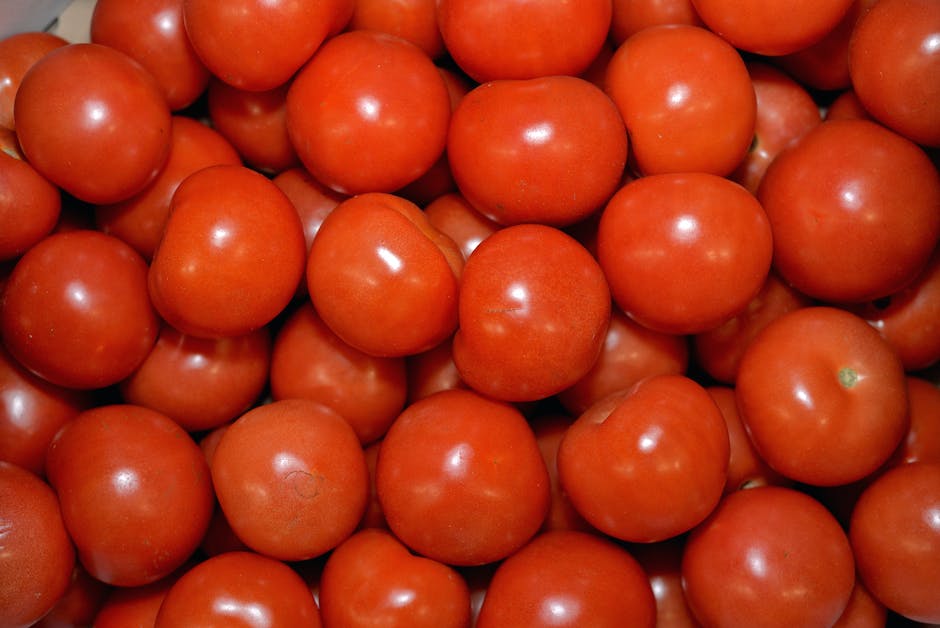 grüne Tomaten rot färben